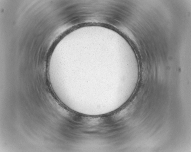 X0000088150831200705291420