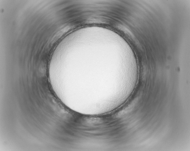 X0000088150833200705291420