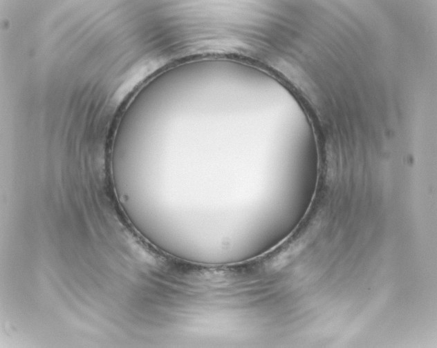 X0000088150834200705291420