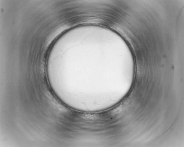 X0000088150835200705291420