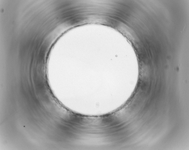 X0000088150836200705291420