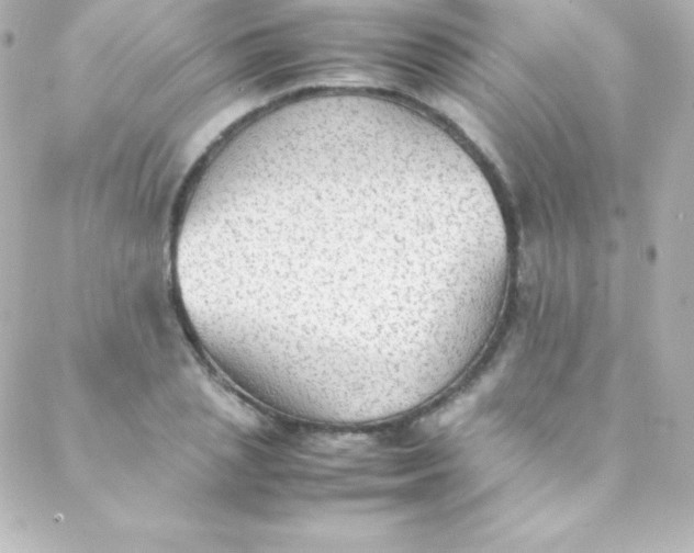 X0000088150837200705291420