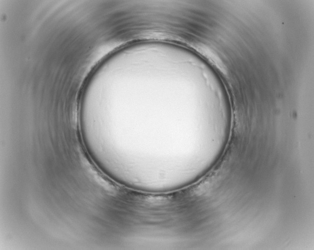 X0000088150839200705291421