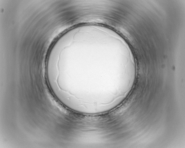 X0000088150840200705291421