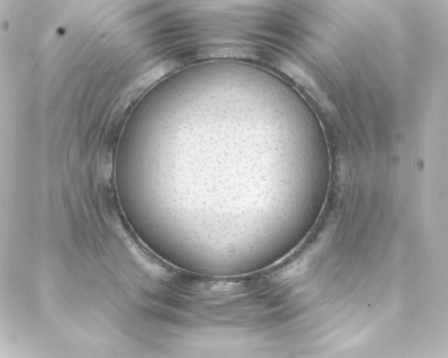 X0000088150841200705291421