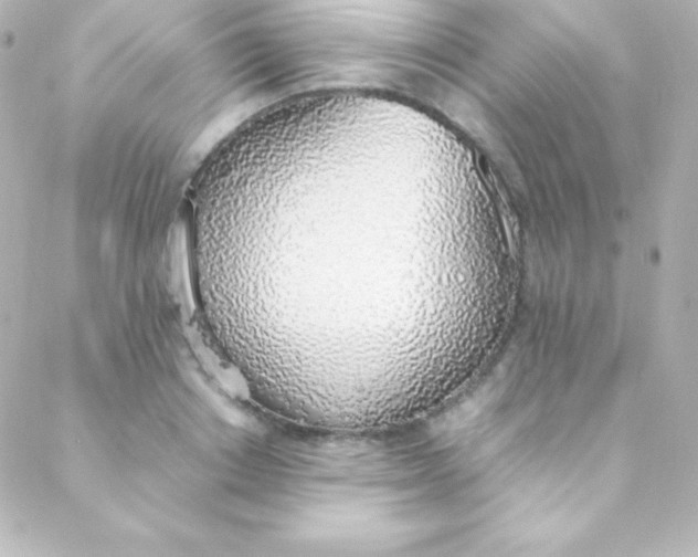 X0000088150842200705291421