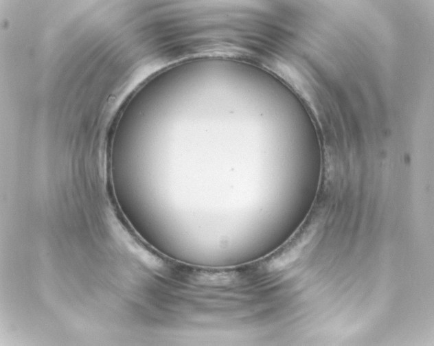 X0000088150843200705291421