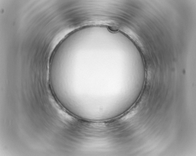 X0000088150844200705291421