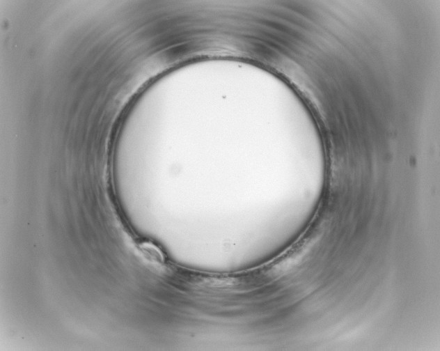 X0000088150845200705291421