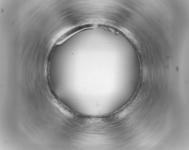 X0000088150846200705291421