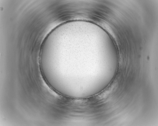 X0000088150847200705291421