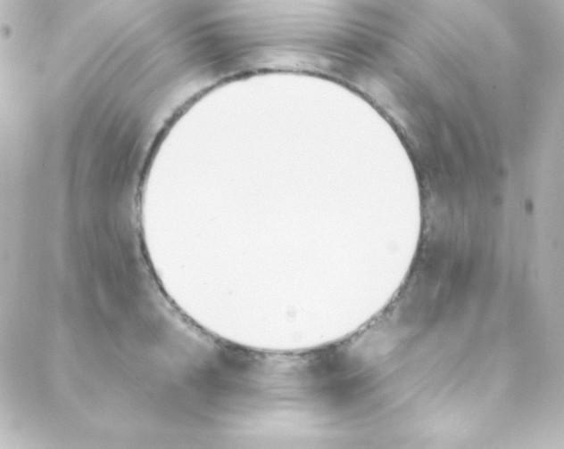 X0000088150848200705291421