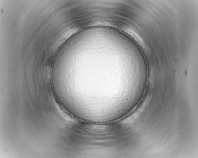 X0000088150849200705291421