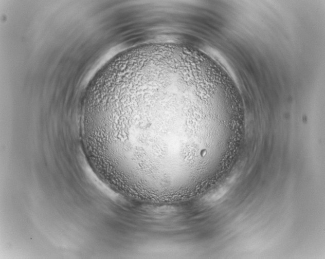 X0000088150851200705291421