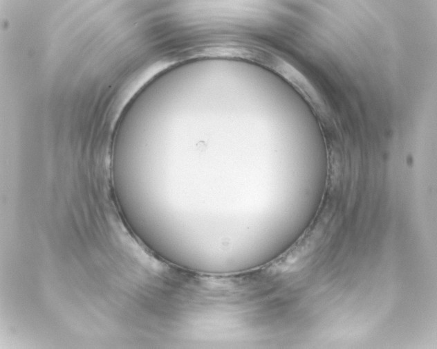 X0000088150852200705291421