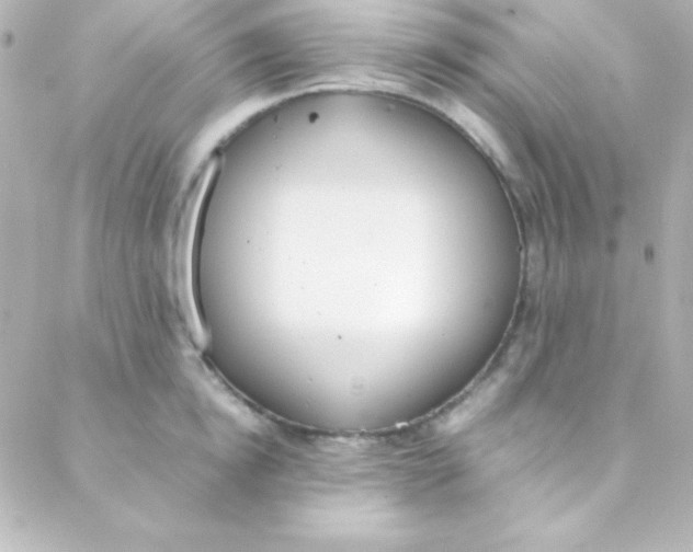 X0000088150854200705291421