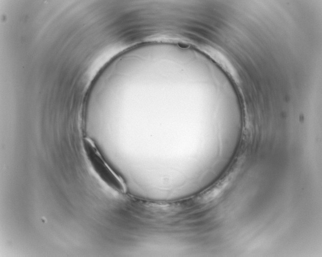 X0000088150855200705291421