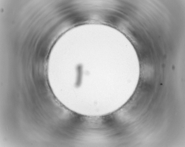 X0000088150856200705291421