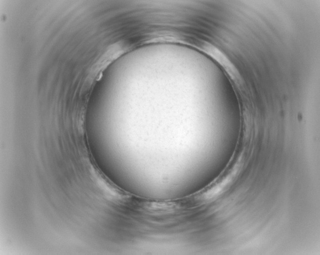 X0000088150857200705291421