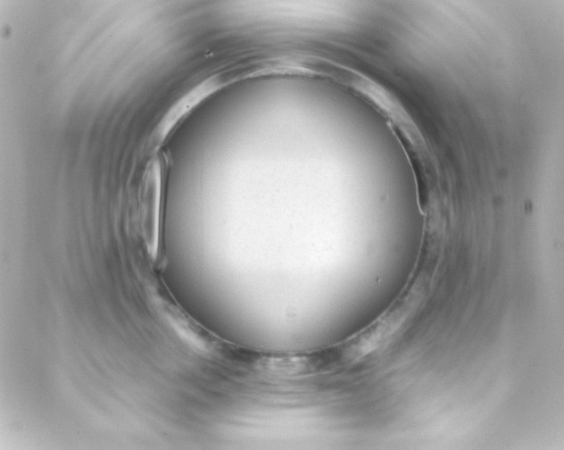 X0000088150858200705291421