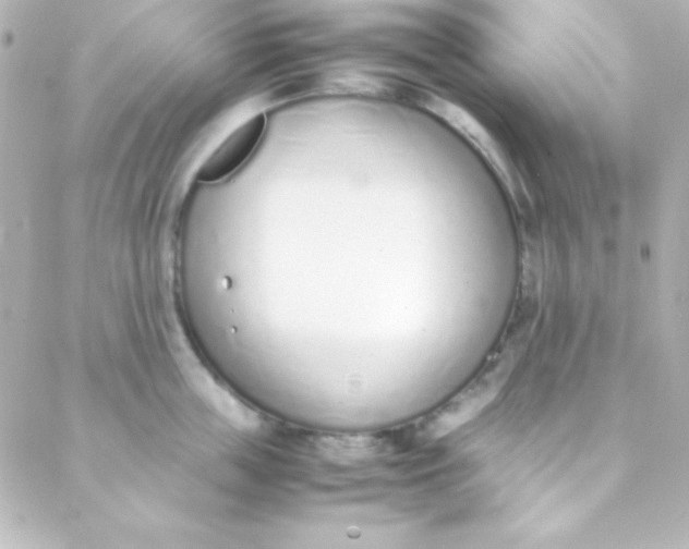 X0000088150859200705291421