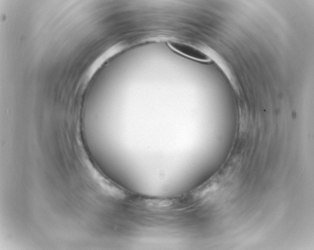 X0000088150861200705291421