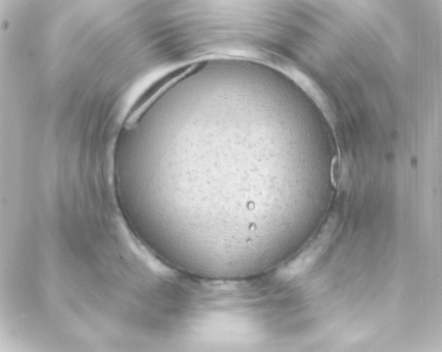 X0000088150862200705291421