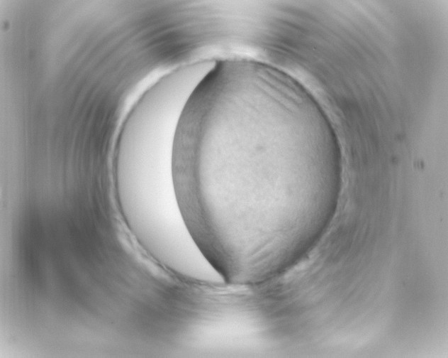 X0000088150864200705291421