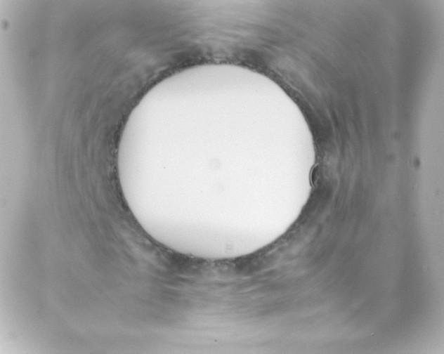 X0000088150865200705291420