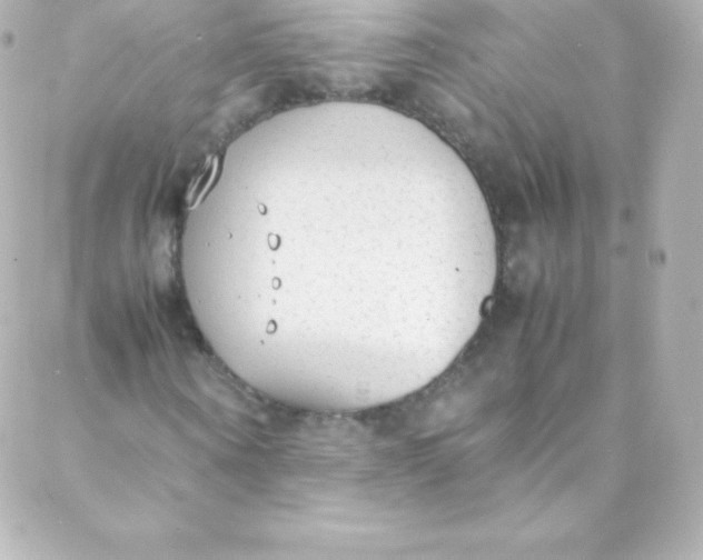 X0000088150866200705291420