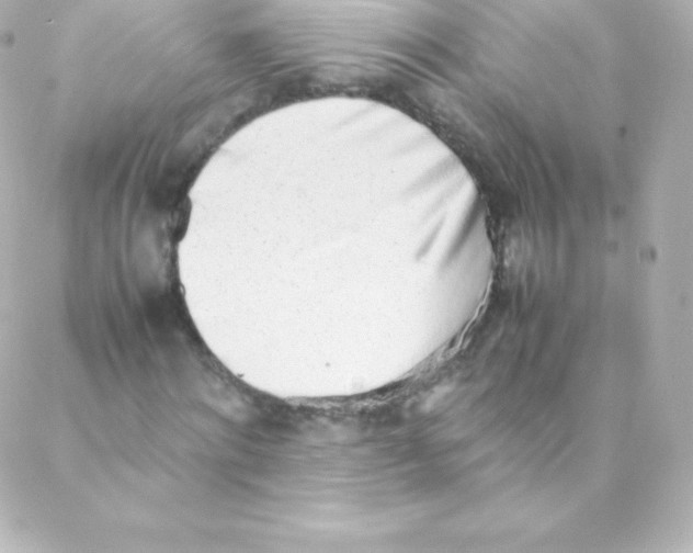 X0000088150868200705291420