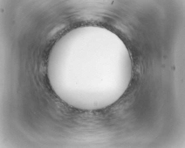 X0000088150869200705291420