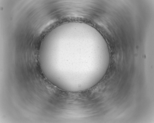 X0000088150870200705291420