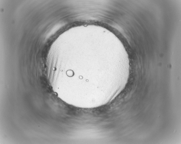 X0000088150871200705291420