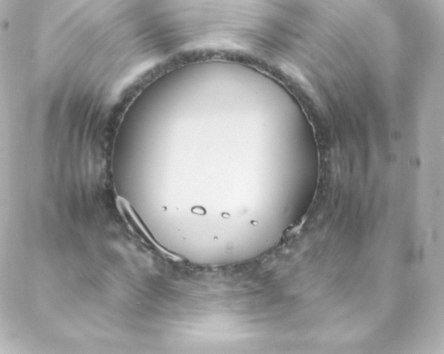 X0000088150872200705291420