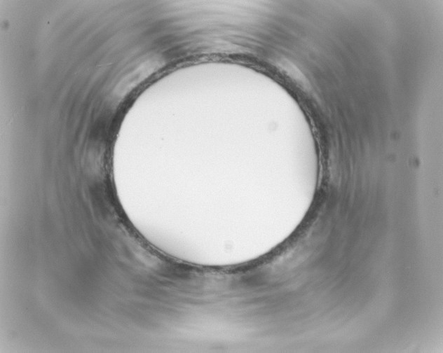 X0000088150873200705291420