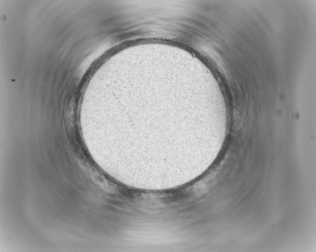 X0000088150875200705291420