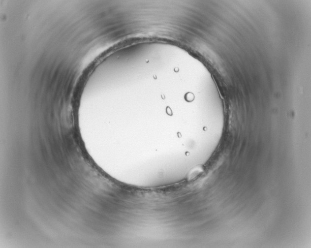 X0000088150876200705291420