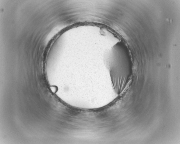 X0000088150877200705291420