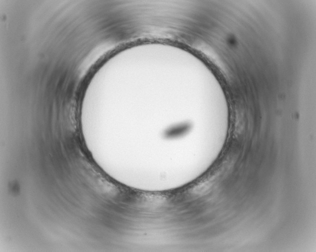 X0000088150878200705291420