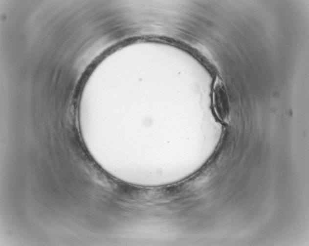 X0000088150879200705291420