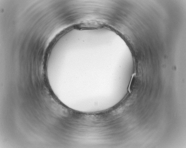 X0000088150880200705291420