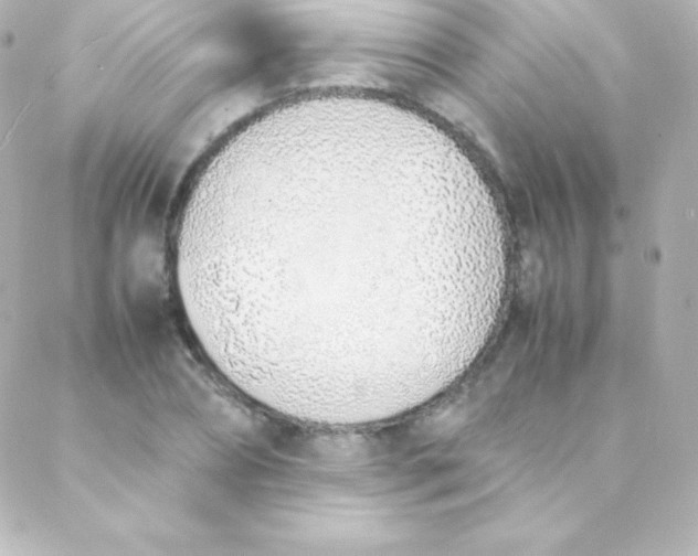 X0000088150882200705291420