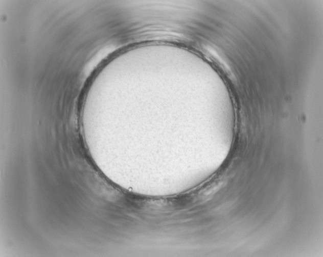 X0000088150883200705291420