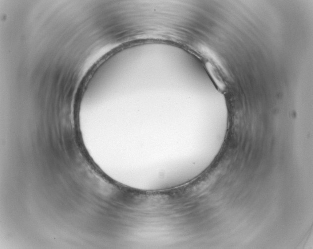 X0000088150884200705291420