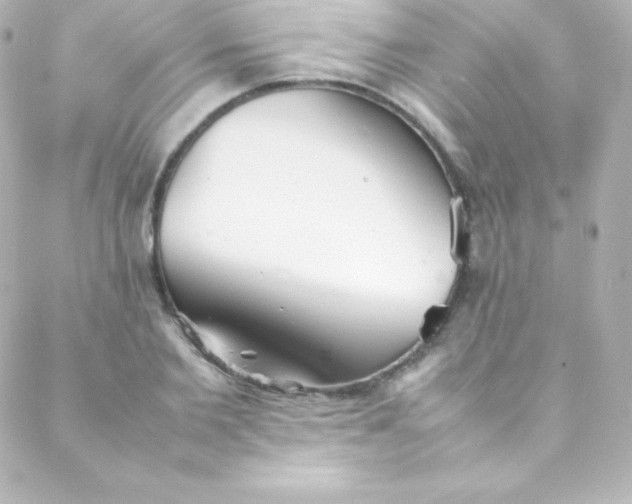 X0000088150885200705291420