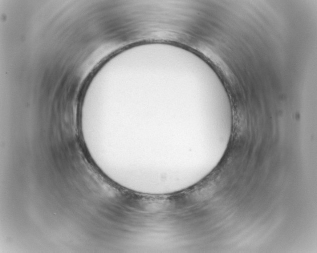 X0000088150886200705291420