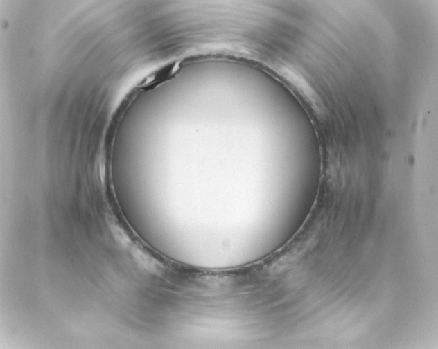 X0000088150888200705291420