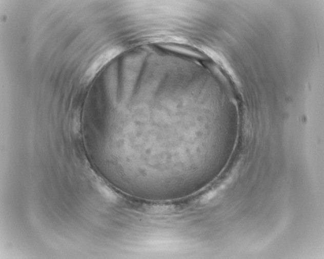 X0000088150889200705291420