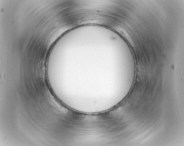 X0000088150890200705291420